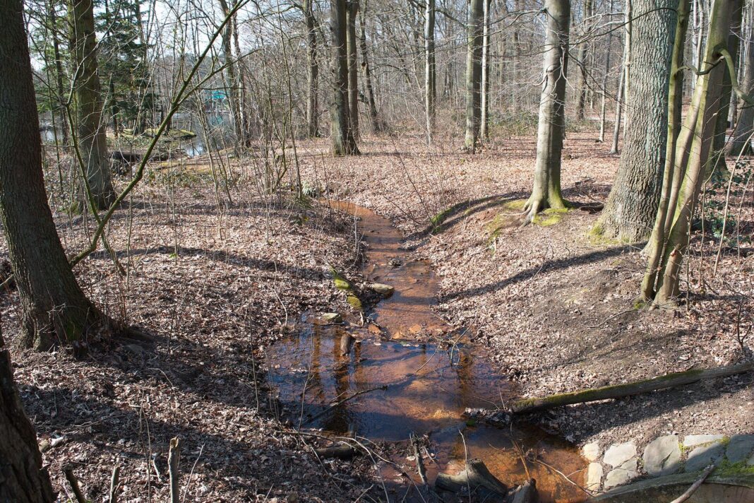 Hilden: Heizungsgespräche gehen im November mit zwei Terminen weiter Hildener Heide 2016